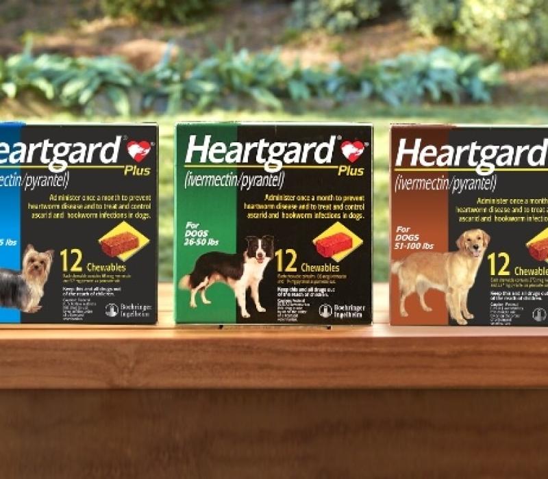 The packages of Heartgard for dogs of different sizes 