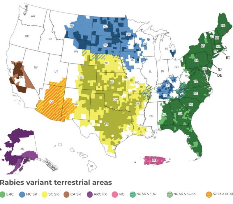 Map of rabies variant terrestrial areas in the United States