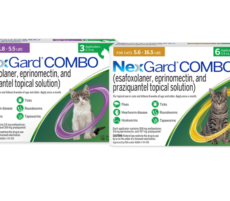 Two packages of NexGard Combo