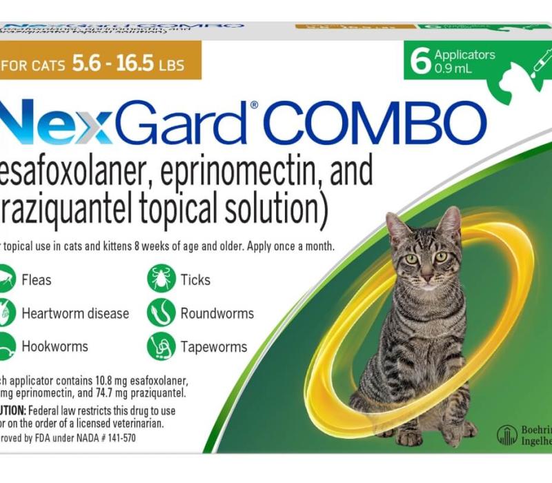 Best heartworm tablets for cats Sale