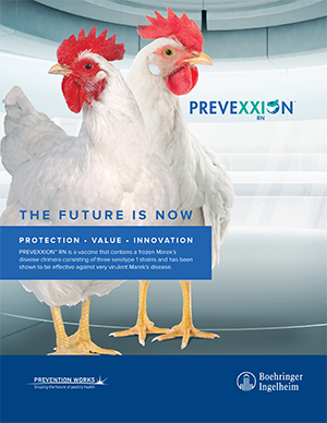 PREVEXXION Sales Aid