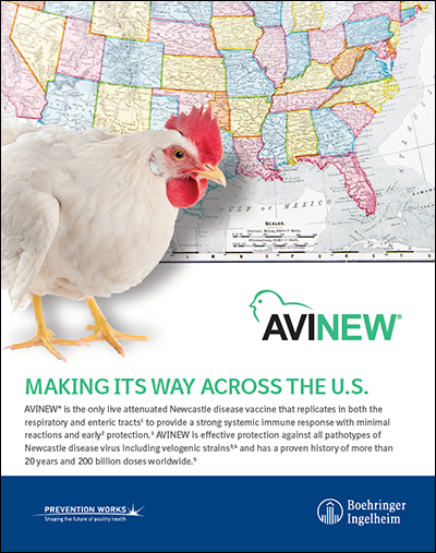 Avinew-e-Detailer-US-POU-0053-2020