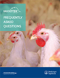 Vaxxitek FAQs Brochure