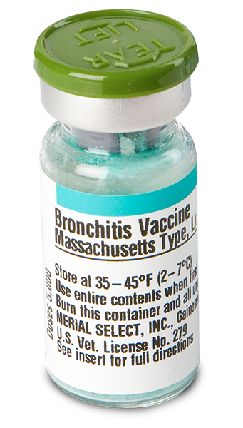 Bronchitis (Mass.)