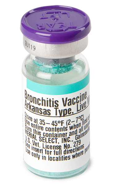 Bronchitis (Ark.)