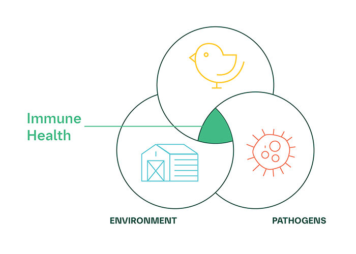 The triad of immune health