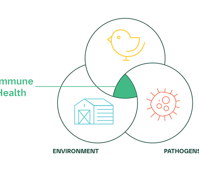 The triad of immune health