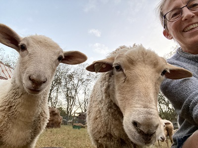 Dr. Joanne Maki's hobby, raising sheep, helps her to unwind and get fresh ideas.