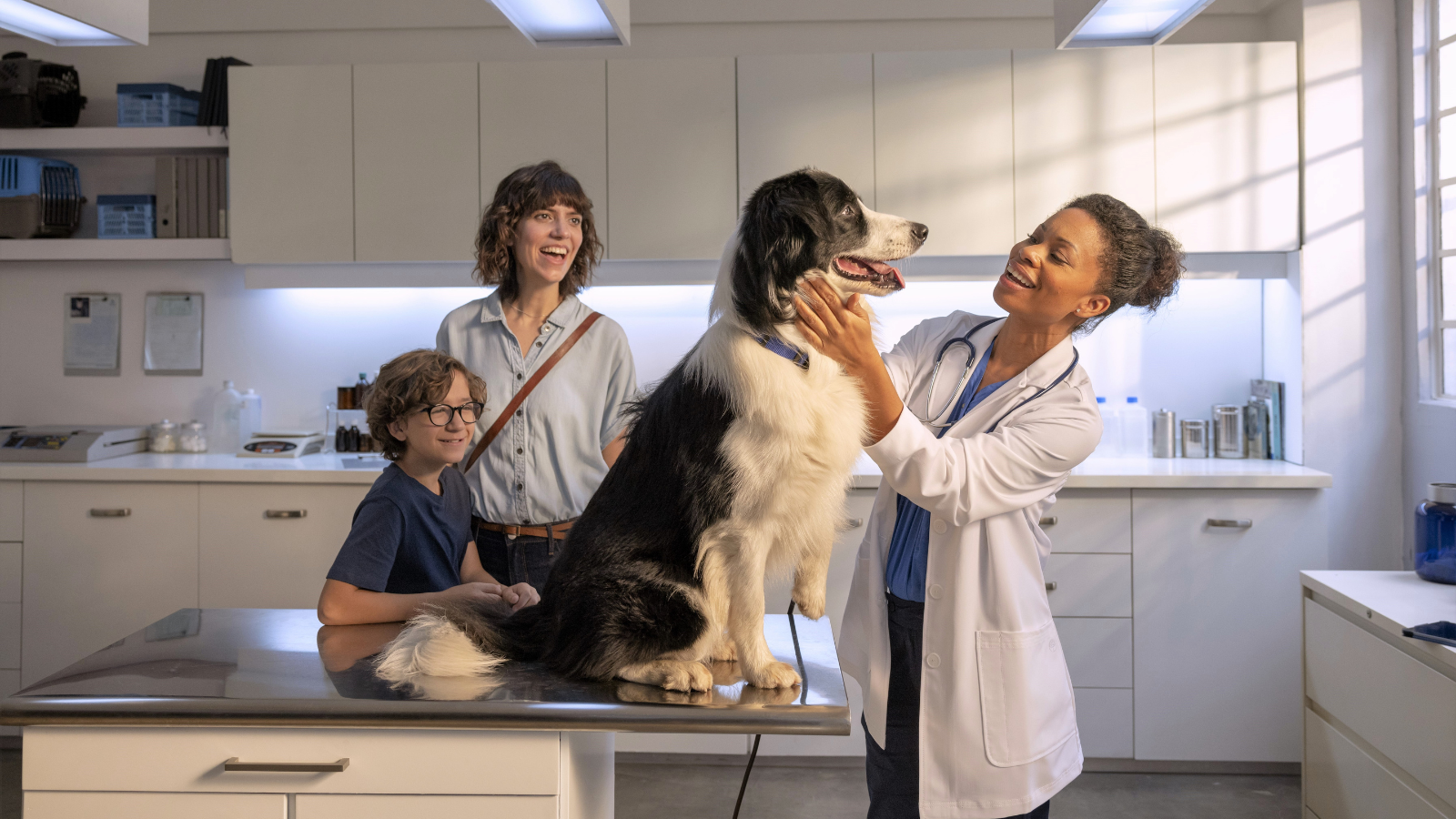 A veterinarian examines a family's dog.