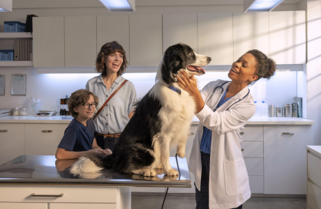 A veterinarian examines a family's dog.