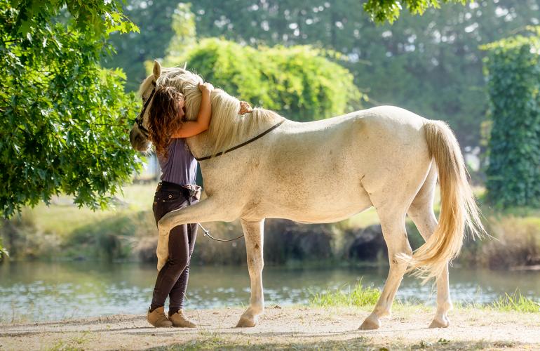 Healing Horses