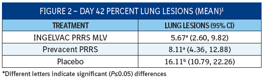 Figure 2 table showing the Day 42 Percent Lung Lesions