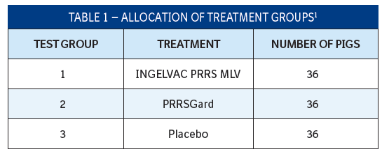 Table 1 is showing the Allocation of treatment Groups. There are three test groups: INGELVAC PRRS MLV, PRRSGard, and Placebo. There are 36 pigs in each group. 