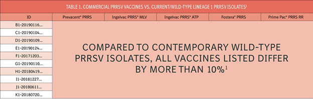 Table 1: Commercial PRRSV Vaccines versus Current Wild-Type Lineage 1 PRRSV Isolates