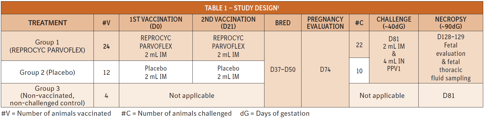 Table 1 shows fetal evaluation and sample collection for three treatment groups: REPROCYC PARVOFLEX, placebo, and non-vaccinated. 