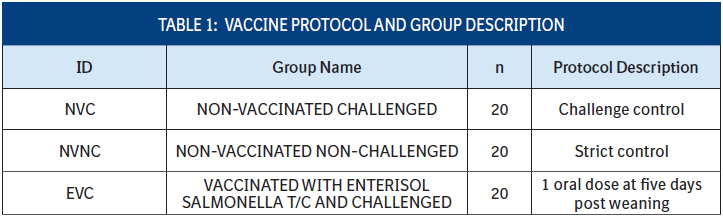 a table showing Vaccine Protocol and Group Description