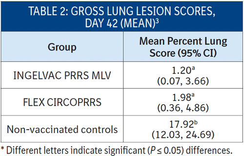 Table 2 is showing the gross lung lesion scores for three groups: INGELVAC PRRS MLV, FLEX CIRCOPRRS, and a non-vaccinated control group.