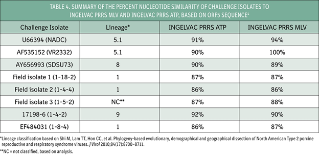 Table 4: Summary of the Percent Nucleotide Similarity of Challenge Isolates to Ingelvac PRRS MLV and Ingelvac PRRS ATP, Based on ORF5 Sequence