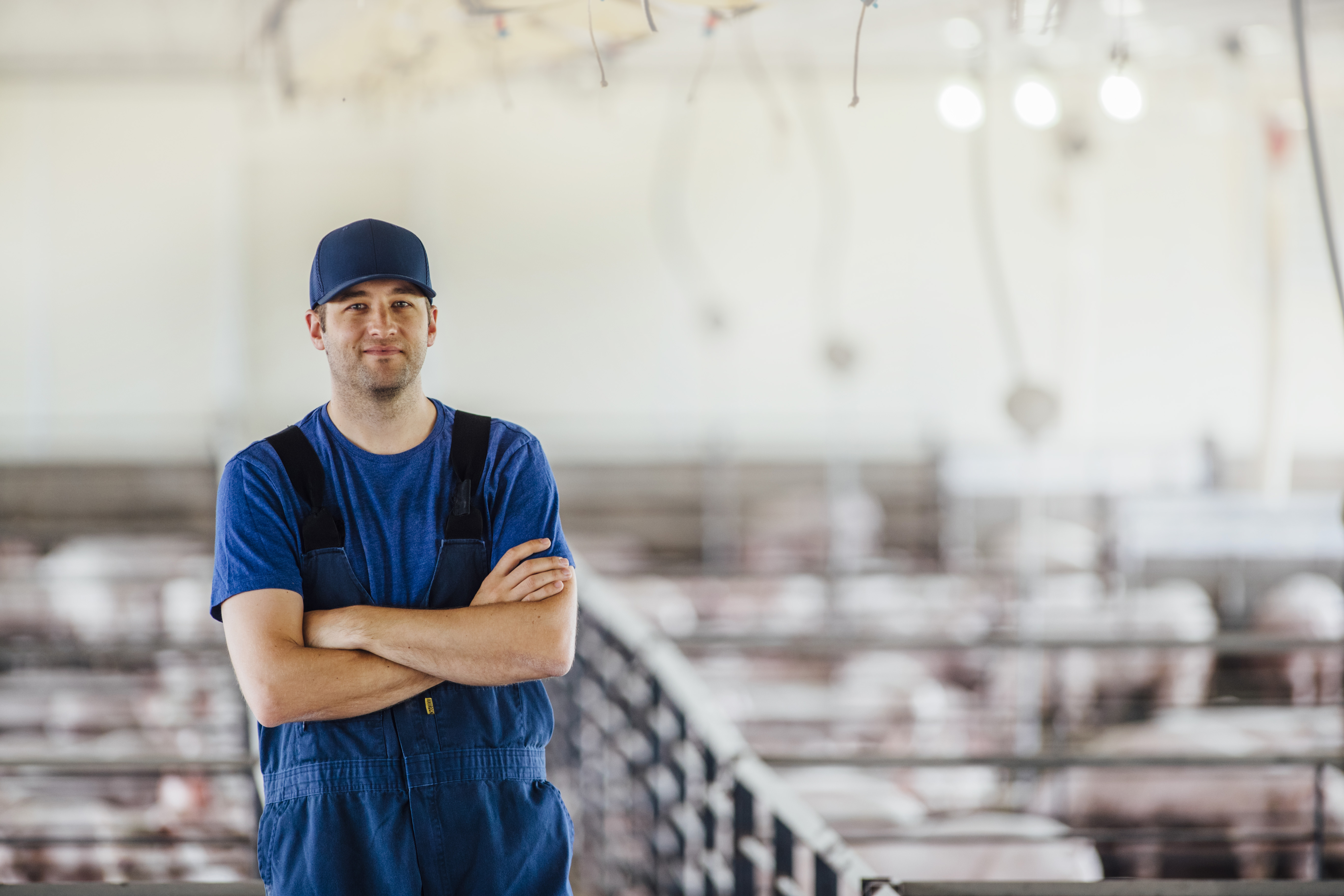 Man in blue tshirt and overalls stands with arms crossed inside of a pig barn.