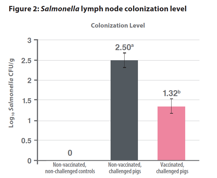 Figure 2: Salmonella lymph node colonization level. Non-vaccinated, non-challenged controls - 0. Non-vaccinated, challenged pigs - 2.5. Vaccinated, challenged pigs - 1.32.