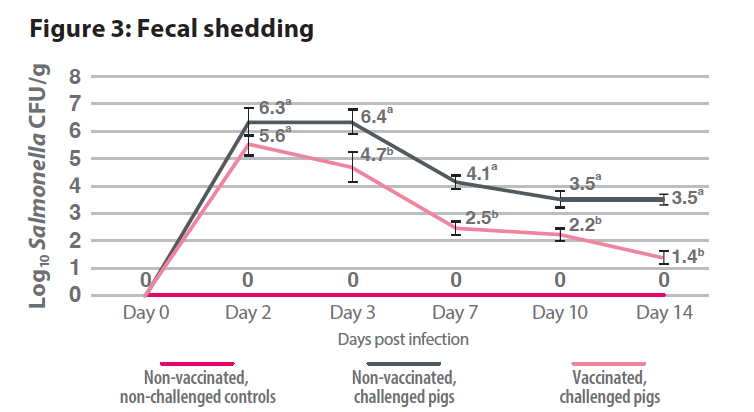Figure 3: Fecal Shedding. Line graph showing data over a two week period between non-vaccinated, non-challenged controls, non-vaccinated, challenged pigs, vaccinated and challenged pigs.