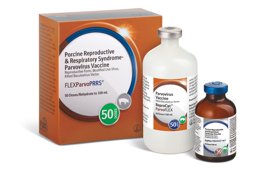 FLEXParvo PRRS box with two bottles