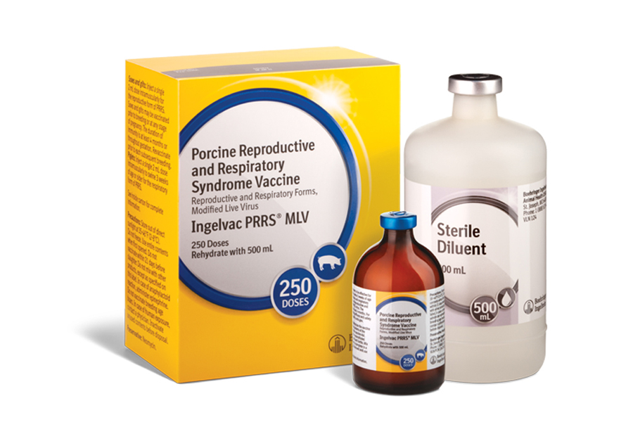 Ingelvac PRRS MLV product box with bottles