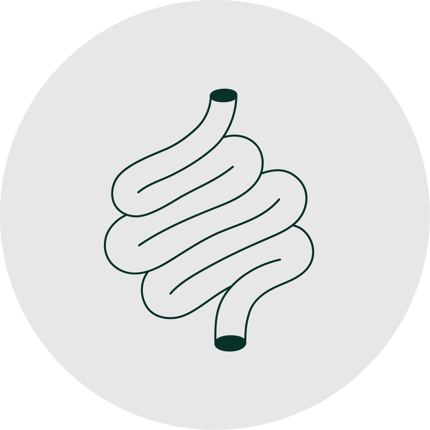 Stylized intestine representing the digestive system.