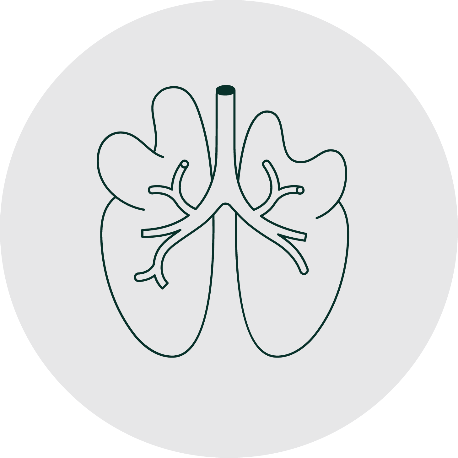 Stylized lungs representing the respiratory system.