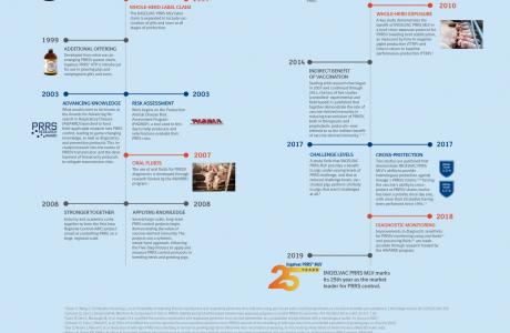 Timeline of milestones in the fight against Porcine Respiratory and Reproductive Syndrome