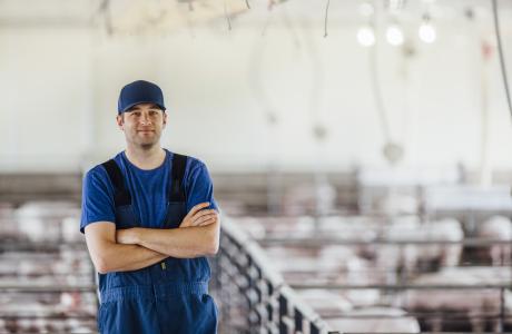 Man in blue tshirt and overalls stands with arms crossed inside of a pig barn.