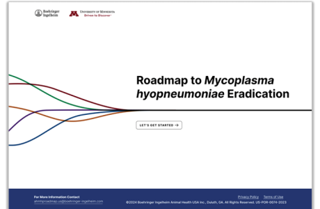 Roadmap to Mycoplasma hyopneumoniae Eradication