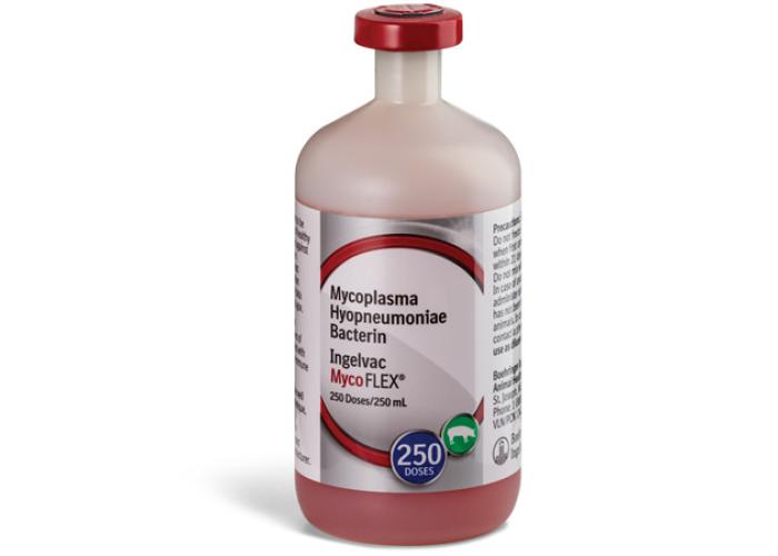 Bottle of Ingelvac MycoFLEX, a Swine Vaccine for mycoplasma hyopneumoniae