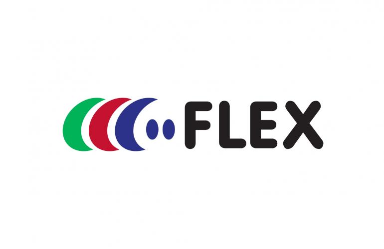 Flex Logo