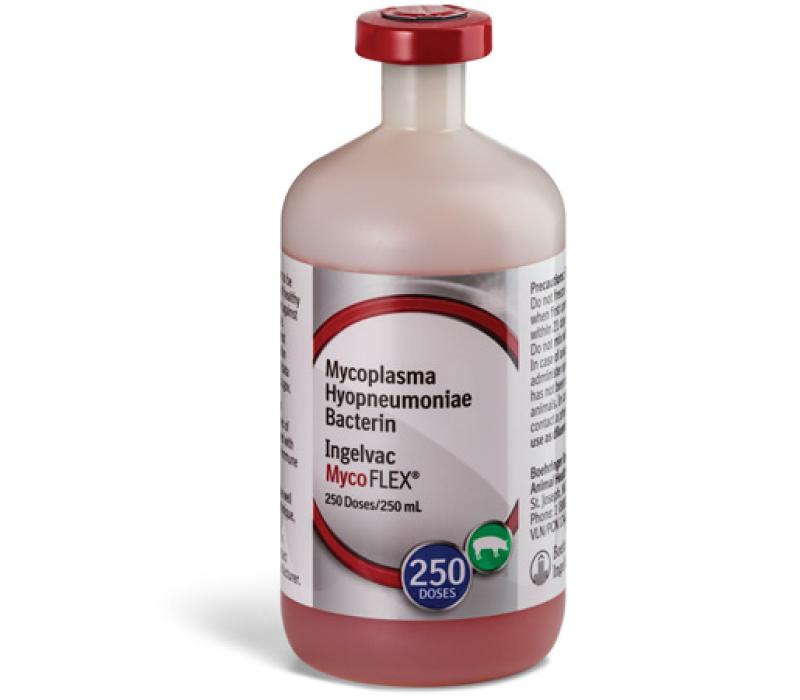 Bottle of Ingelvac MycoFLEX, a Swine Vaccine for mycoplasma hyopneumoniae