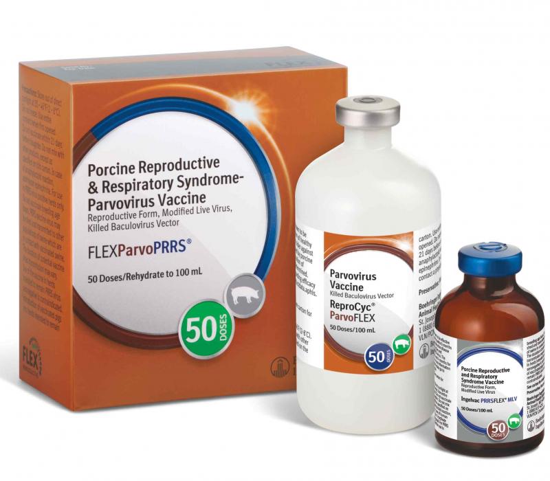 FLEX Parvo PRRS Porcine Reproductive & Respiratory Syndrome Parvovirus Vaccine