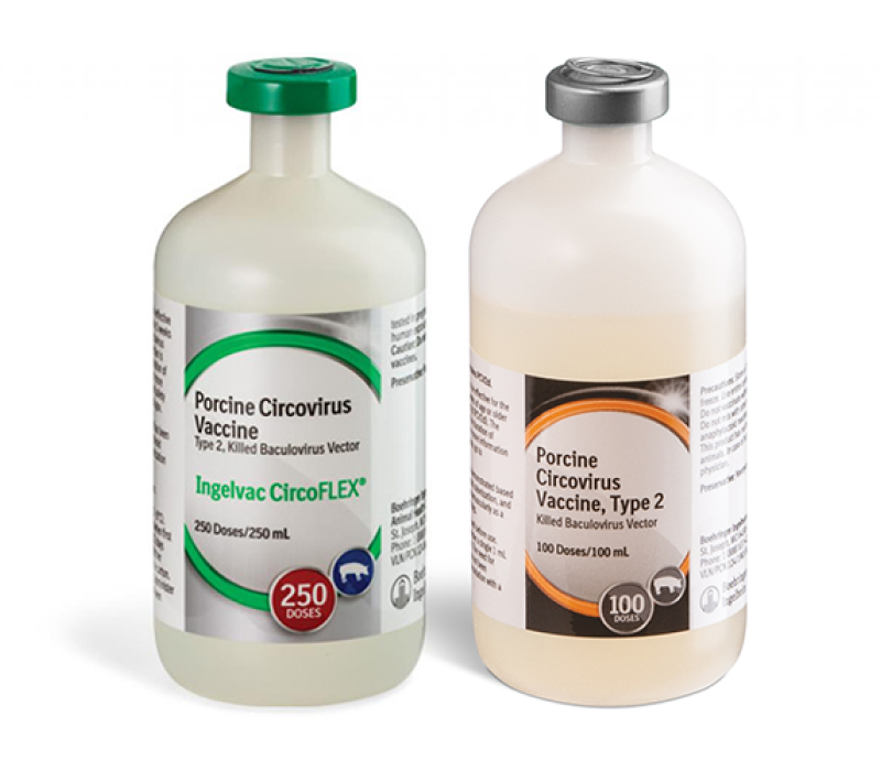 CircoFLEX and d-FENSE product bottles