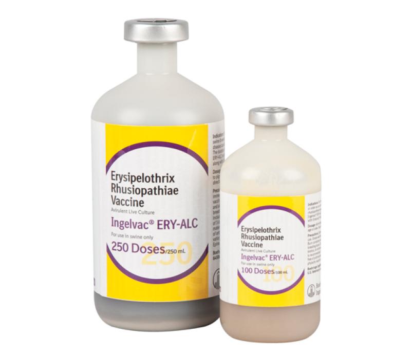 Ingelvac ERY-ALC 250 dose and 100 dose product bottles